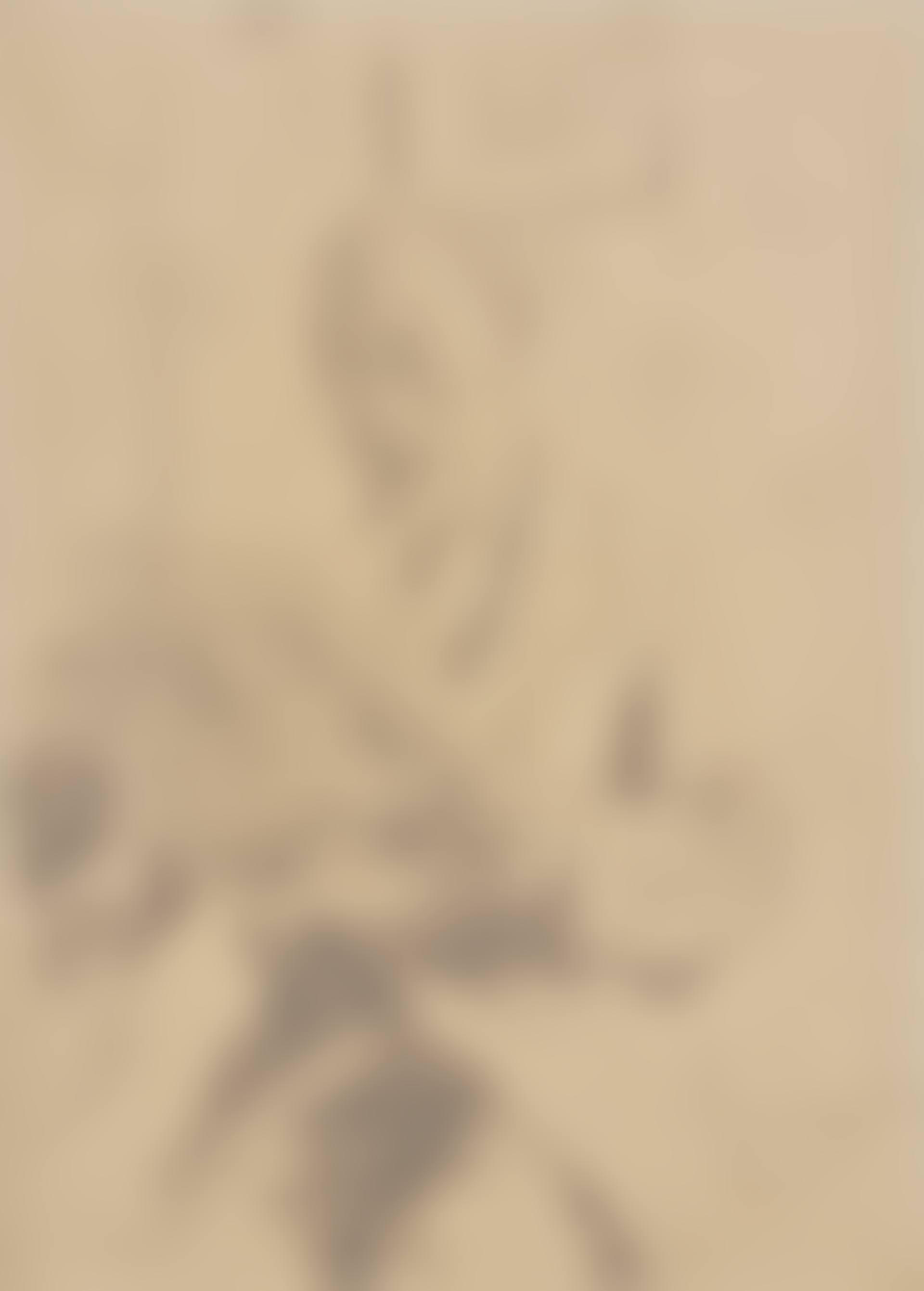 Man Reading (preview)