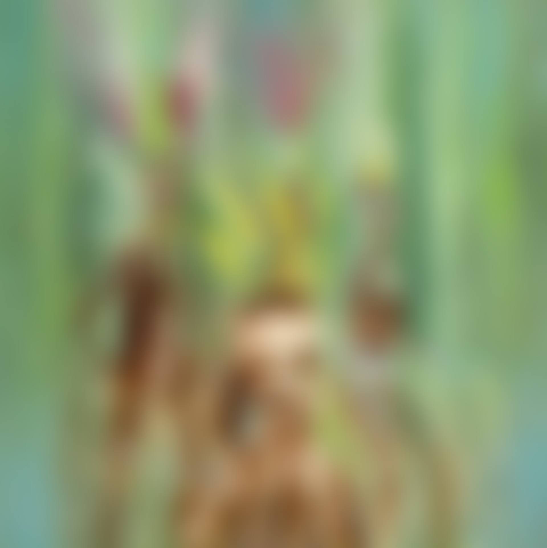 New Guinea (preview)