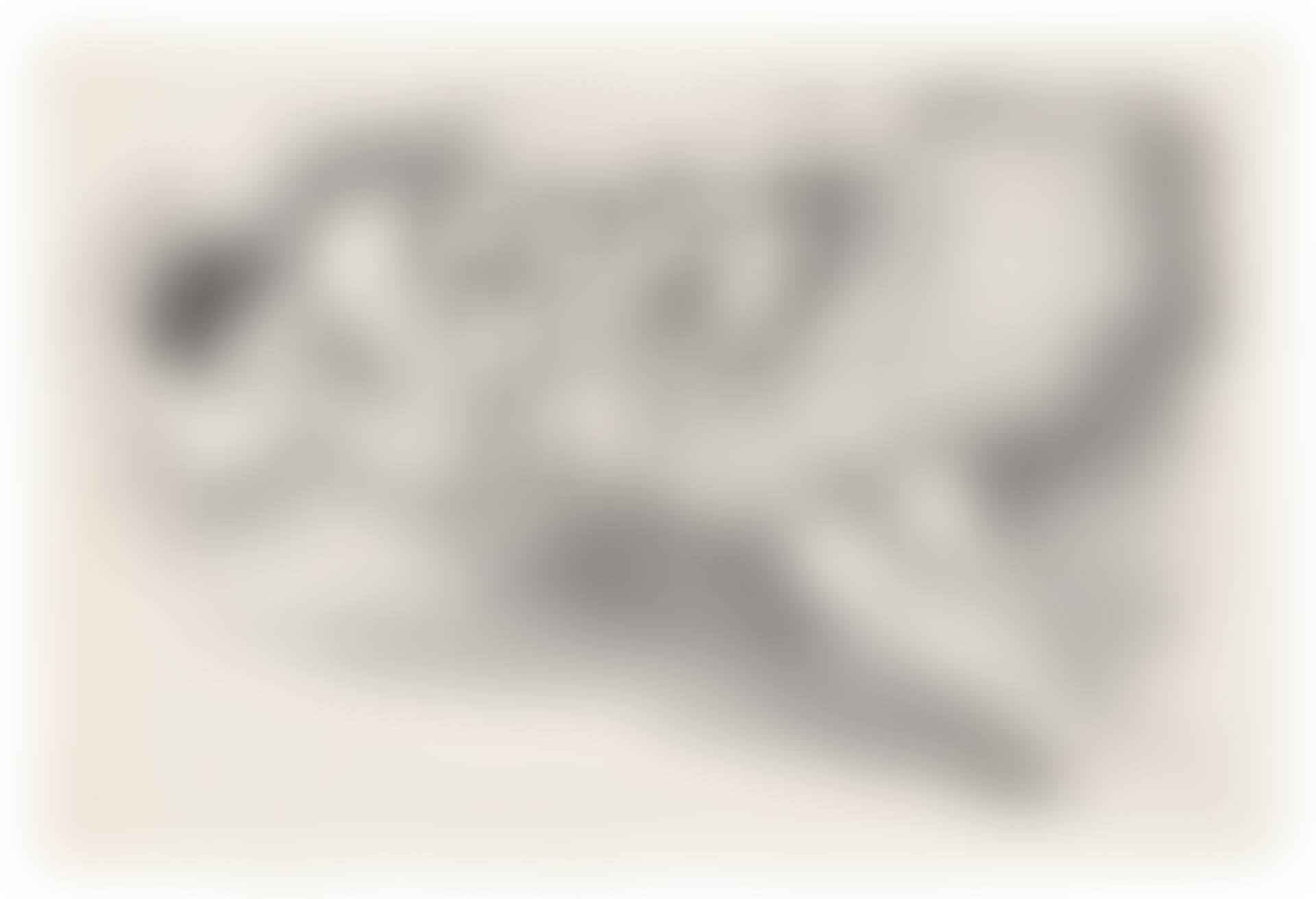 Danseuse endormie au divan, from: Dix danseuses (preview)