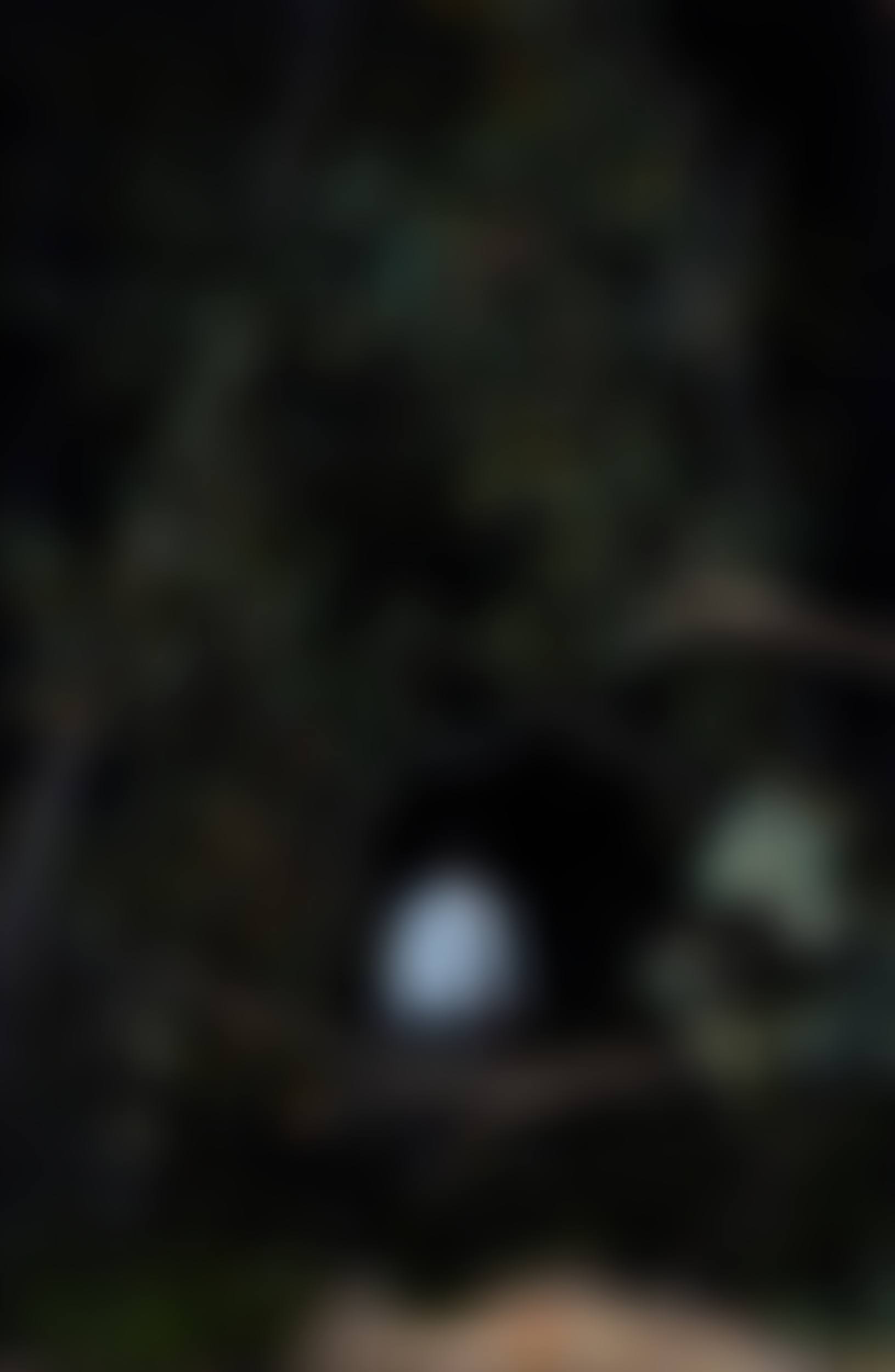Finding MARI (preview)