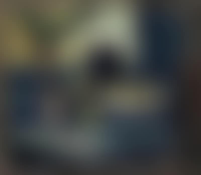 Still life (preview)