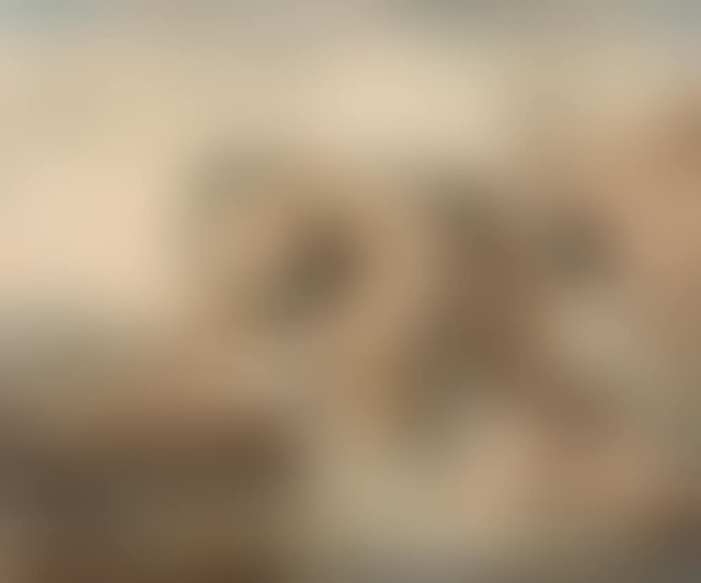 Lavandières près d"une architecture antique (preview)