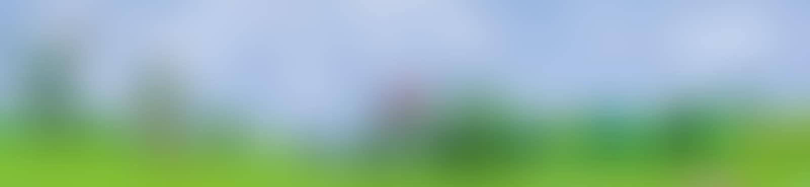 30th May 2021, From the Studio (preview)
