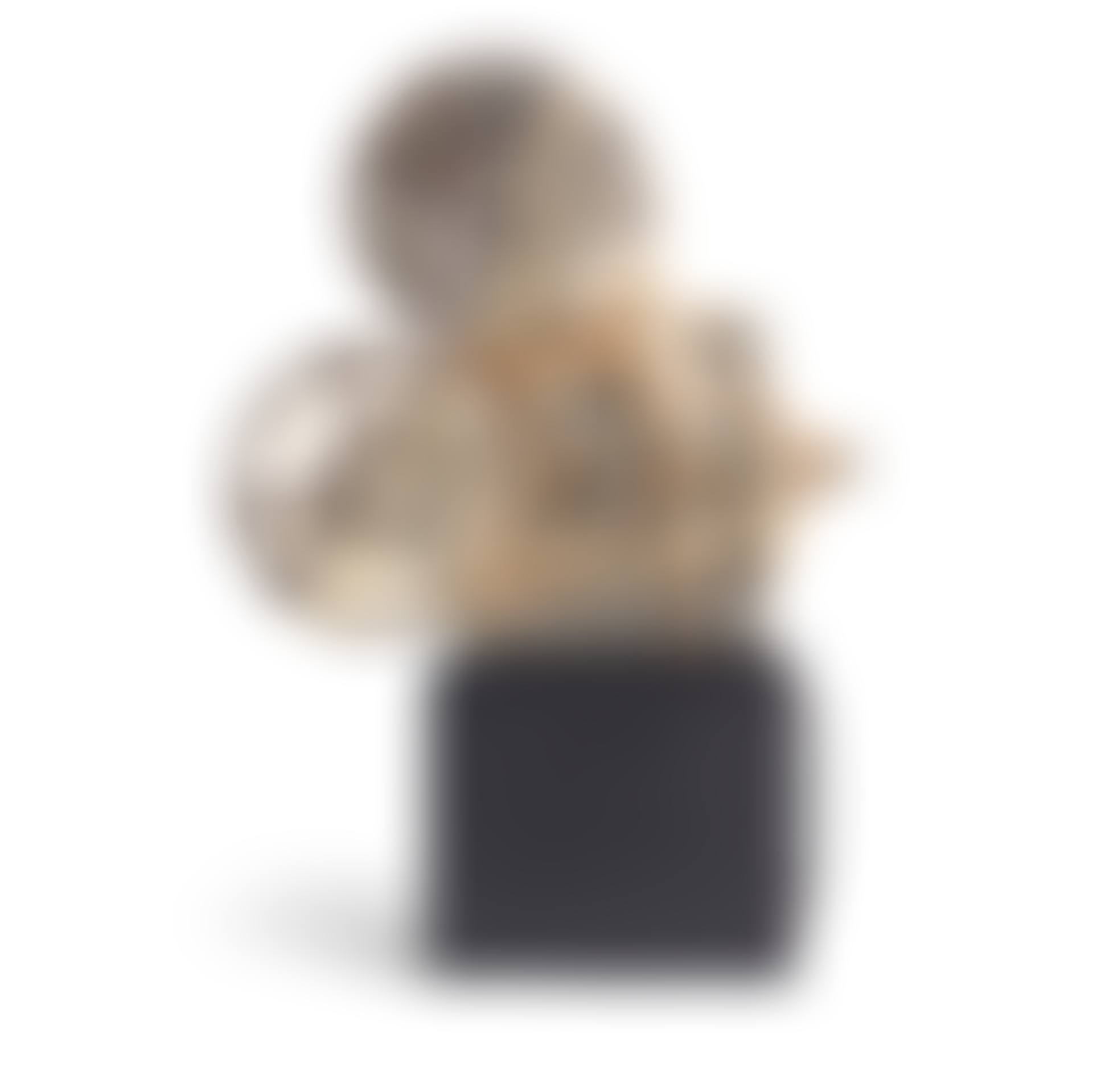 Function Object 3 (preview)