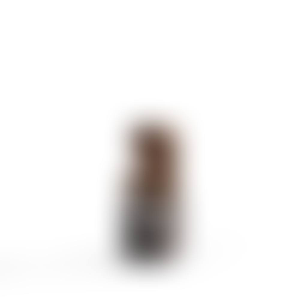 Portrait d"homme (preview)