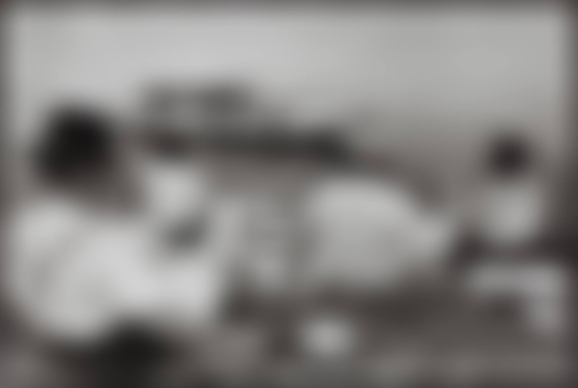 Picnic on the Banks of the Marne (preview)