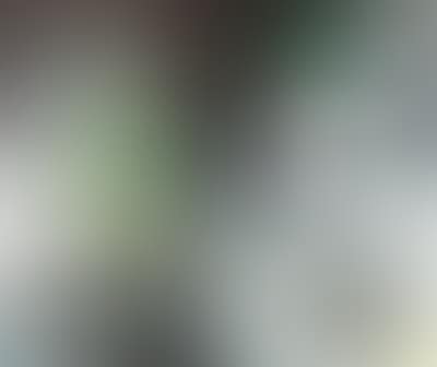 “Weißfeldblühen” (preview)