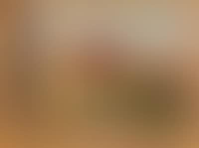 Vita silente (preview)