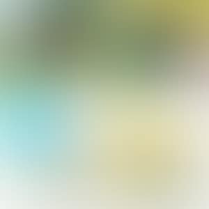 1. Buildinghead: Chameleon／2. Buildinghead: Palm trees／3. Sky／4. Yuyake chan Miss Sunset (preview)