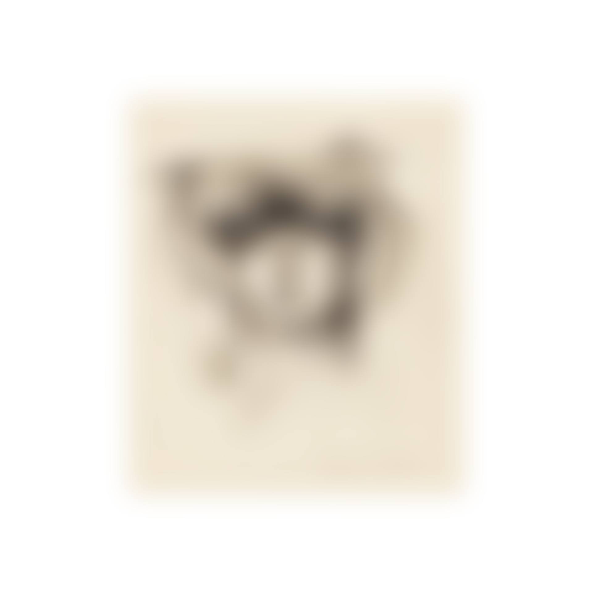 Sans titre (Le chien) (preview)