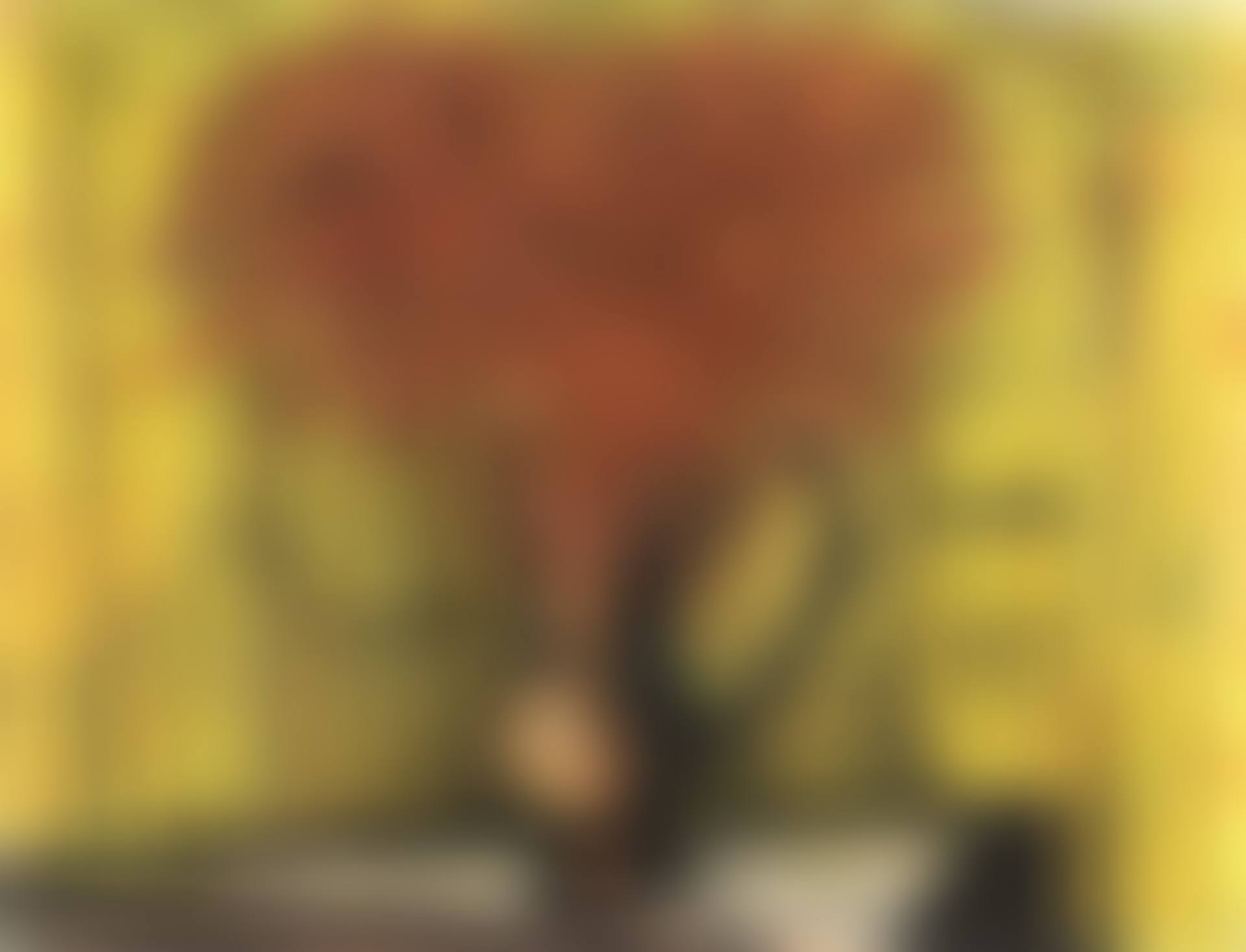 Dahlias (preview)