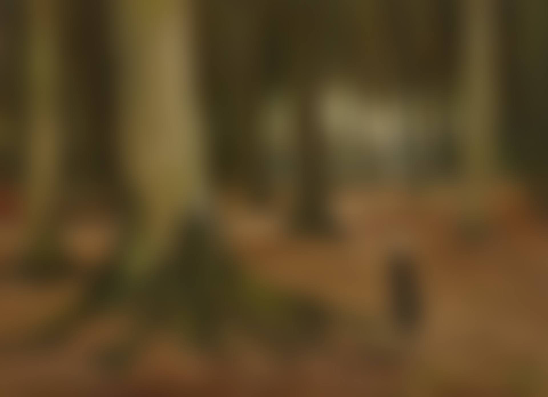 Meisje in het bosch (A Girl in a Wood) (preview)