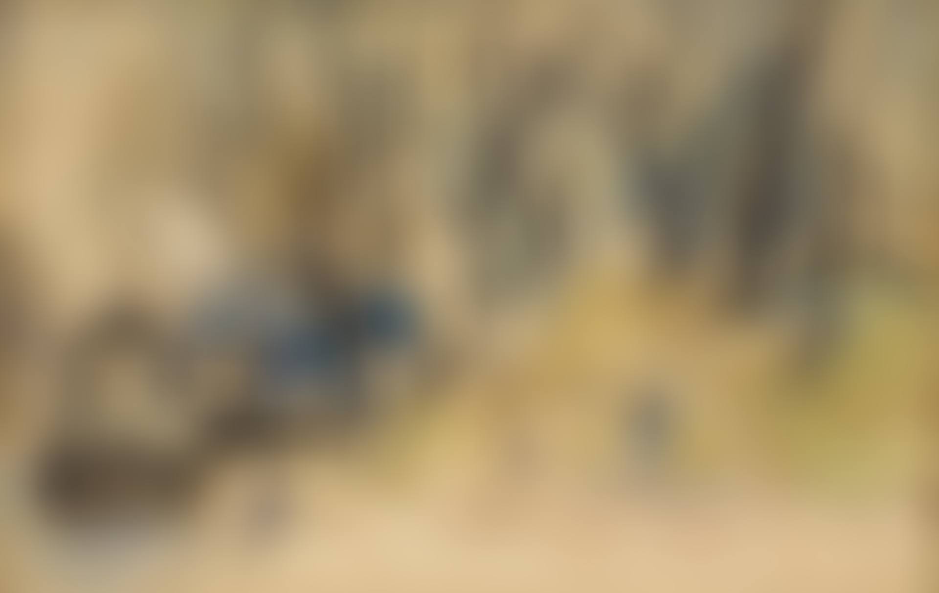 Landscape (preview)