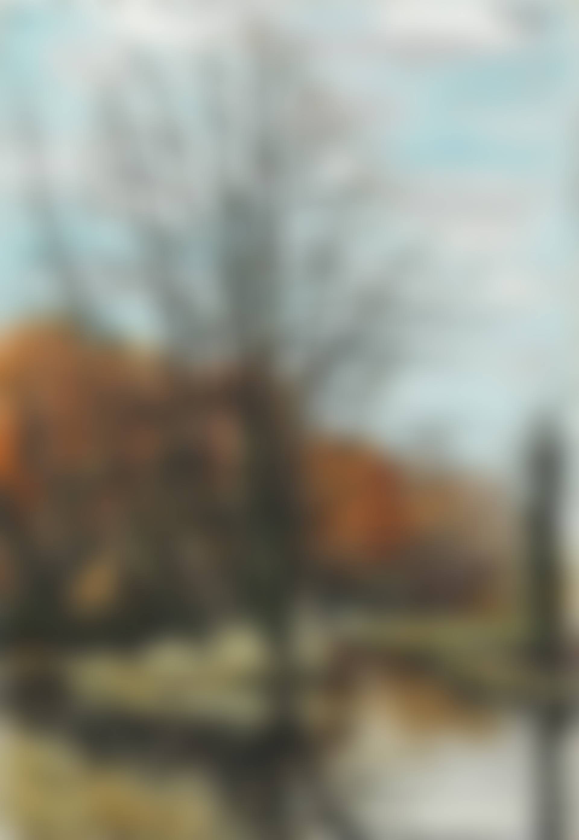 Environs de Cher, le chêne vert en automne, Parc du château de Vieille-Ville (preview)