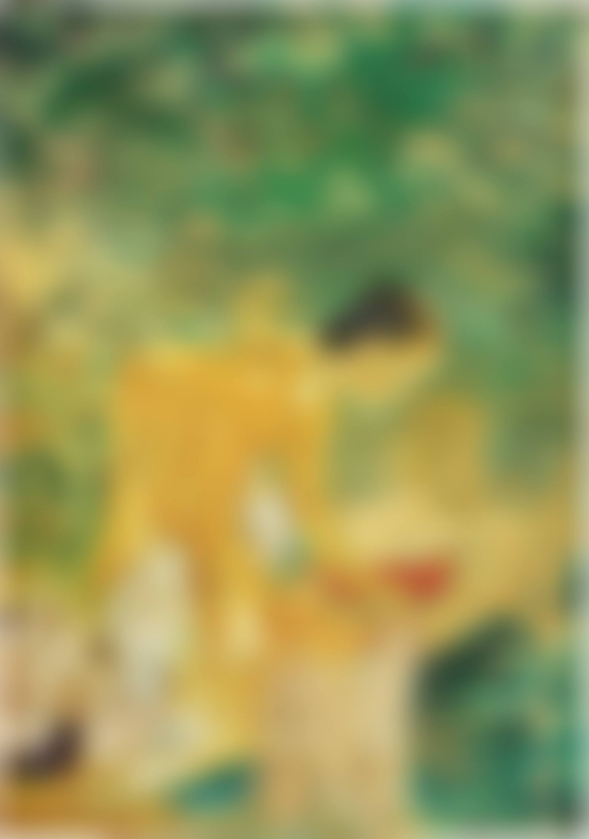 La blanchisseuse (preview)