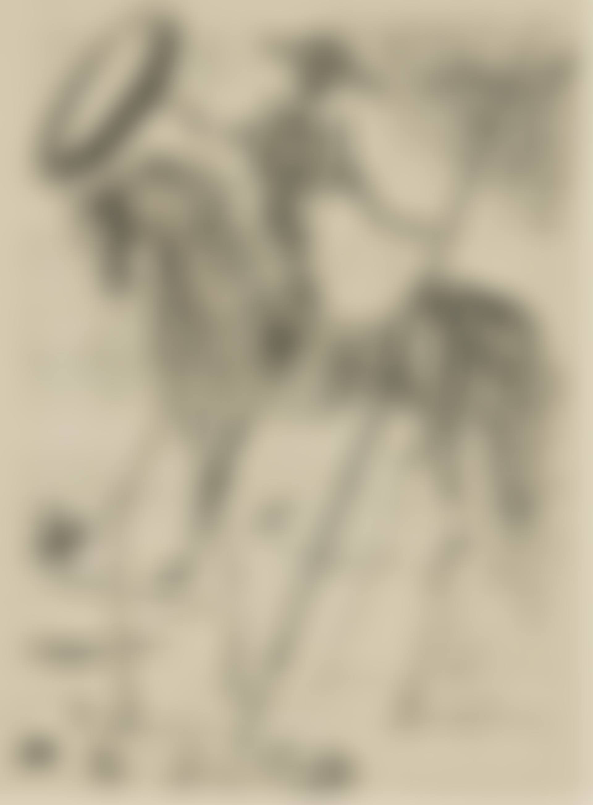 Don Quixote (preview)