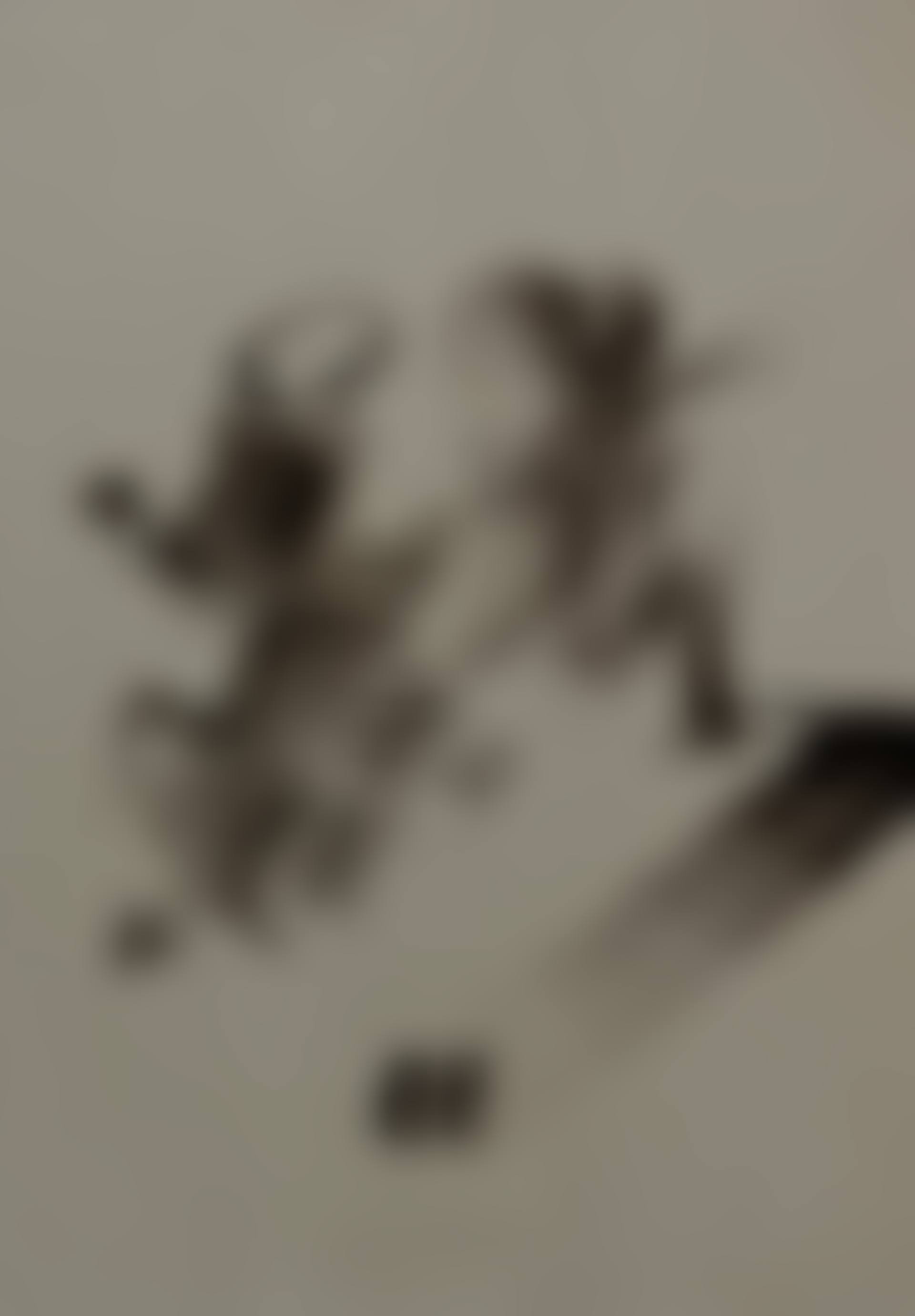 Untitled (preview)
