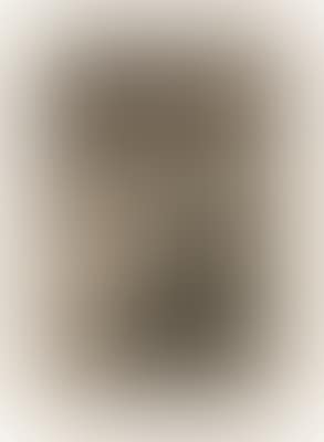 "Tal para qual", Pl. 5 from the series "Los Caprichos" (preview)