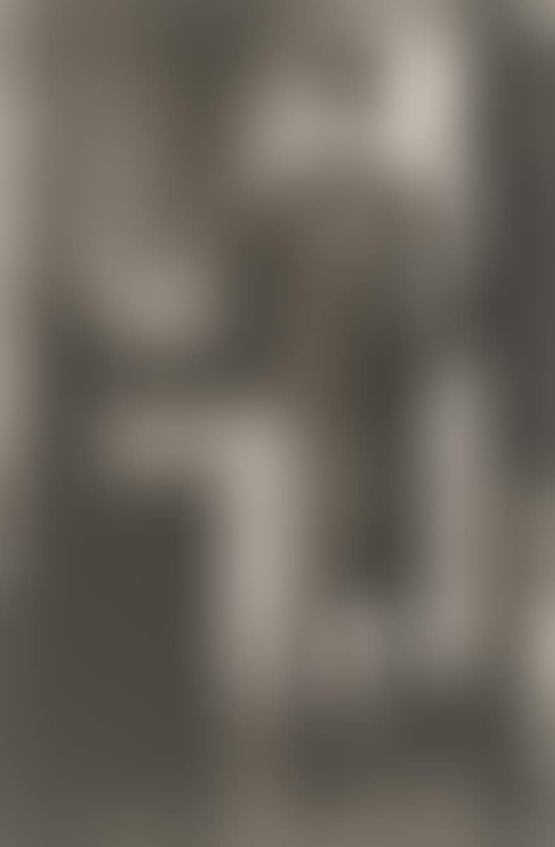 La Fidélité des Images (preview)