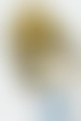 Untitled (preview)