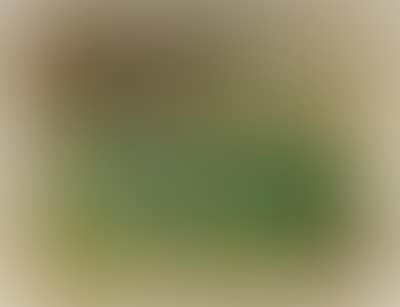 Landschaft (preview)