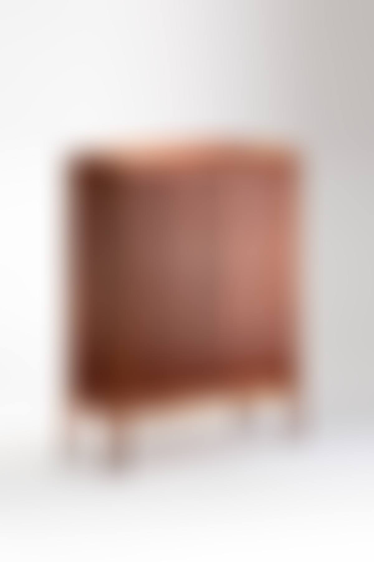 Cabinet - "Bangkok" Model (preview)