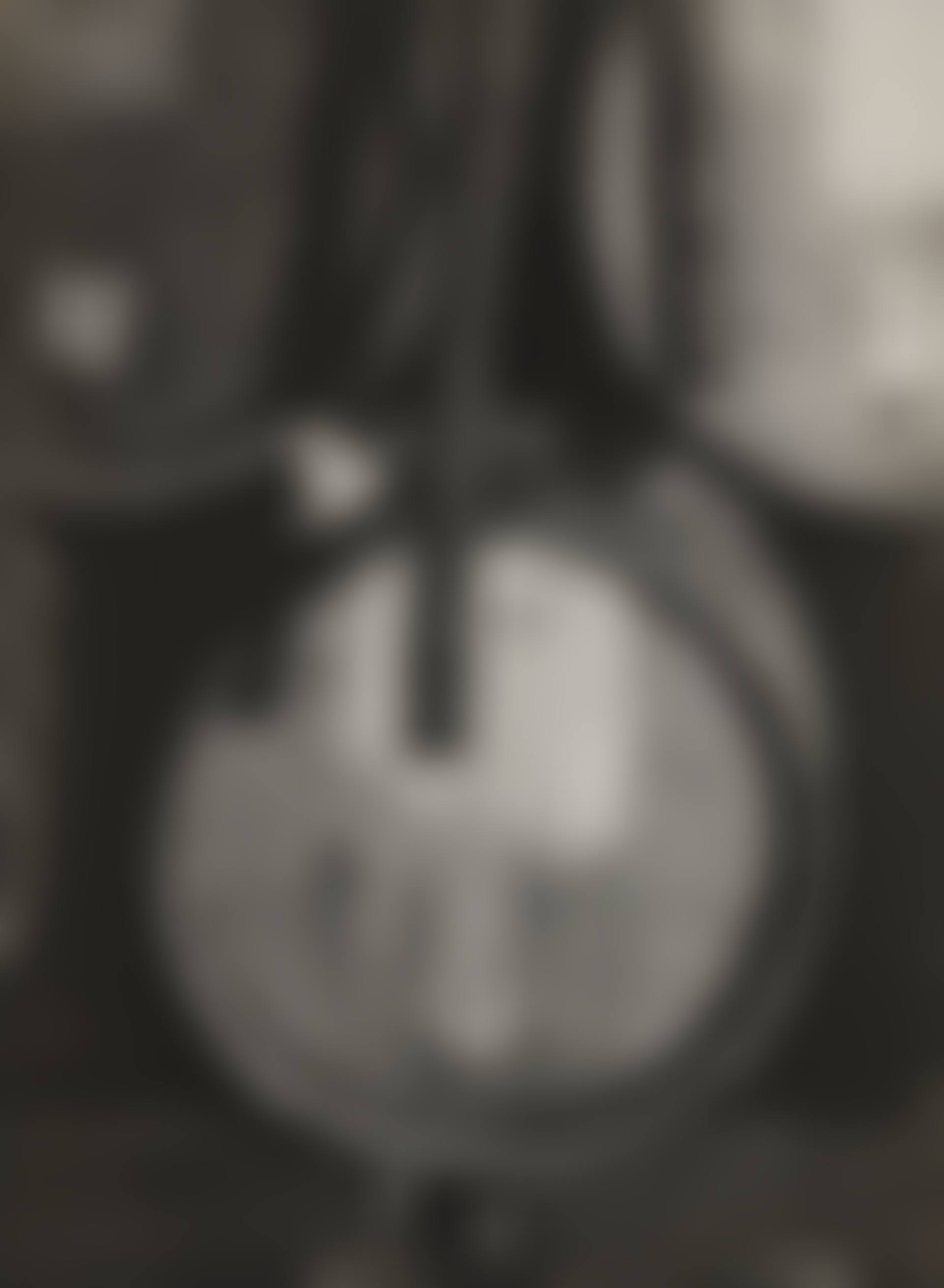 Tonneaux de Vin (preview)