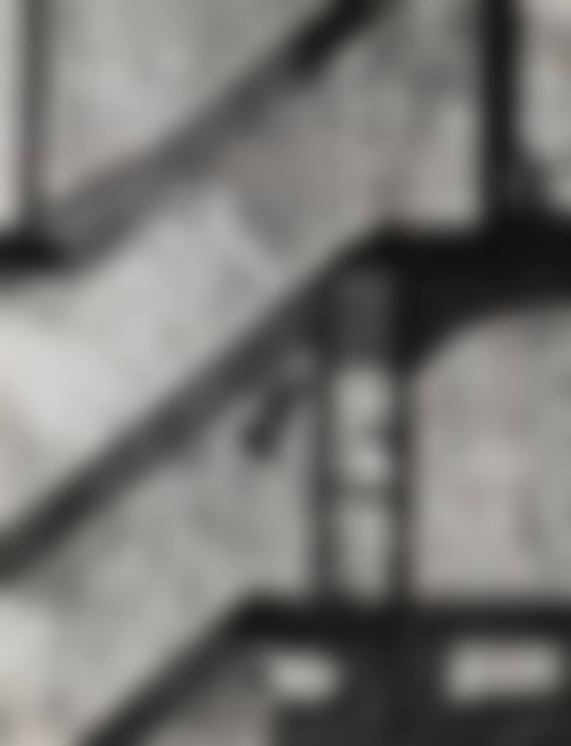 Landing Pigeon, New York (preview)