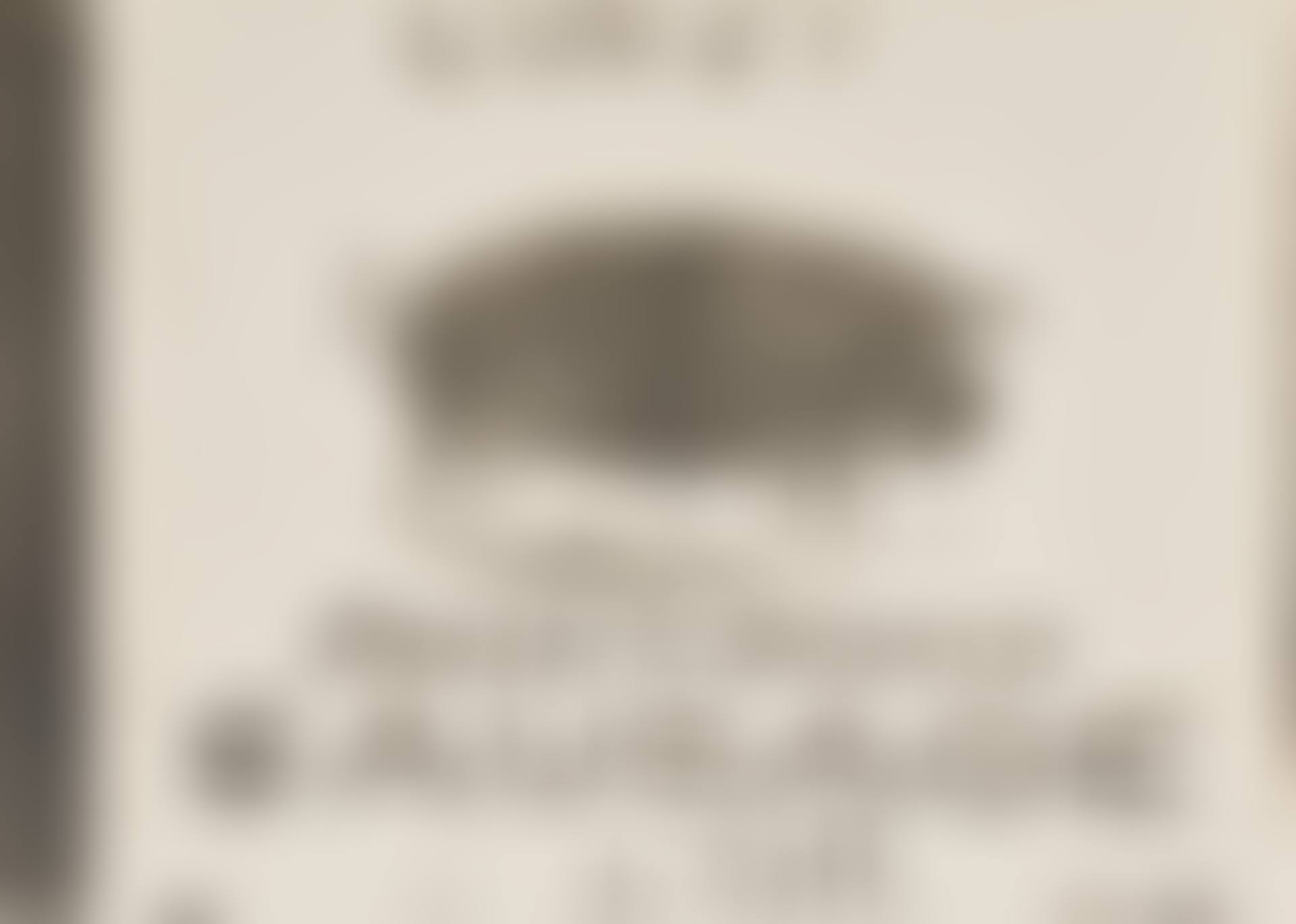 Fresh and Smoked Sausage (preview)