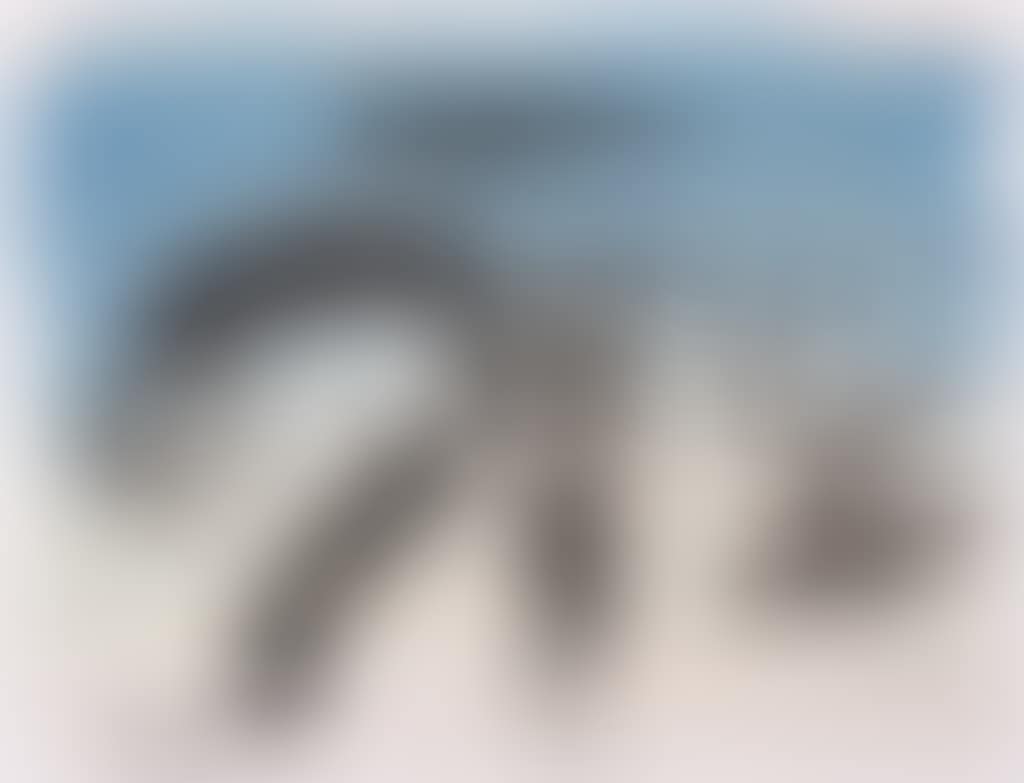 Le sang du cormoran (preview)