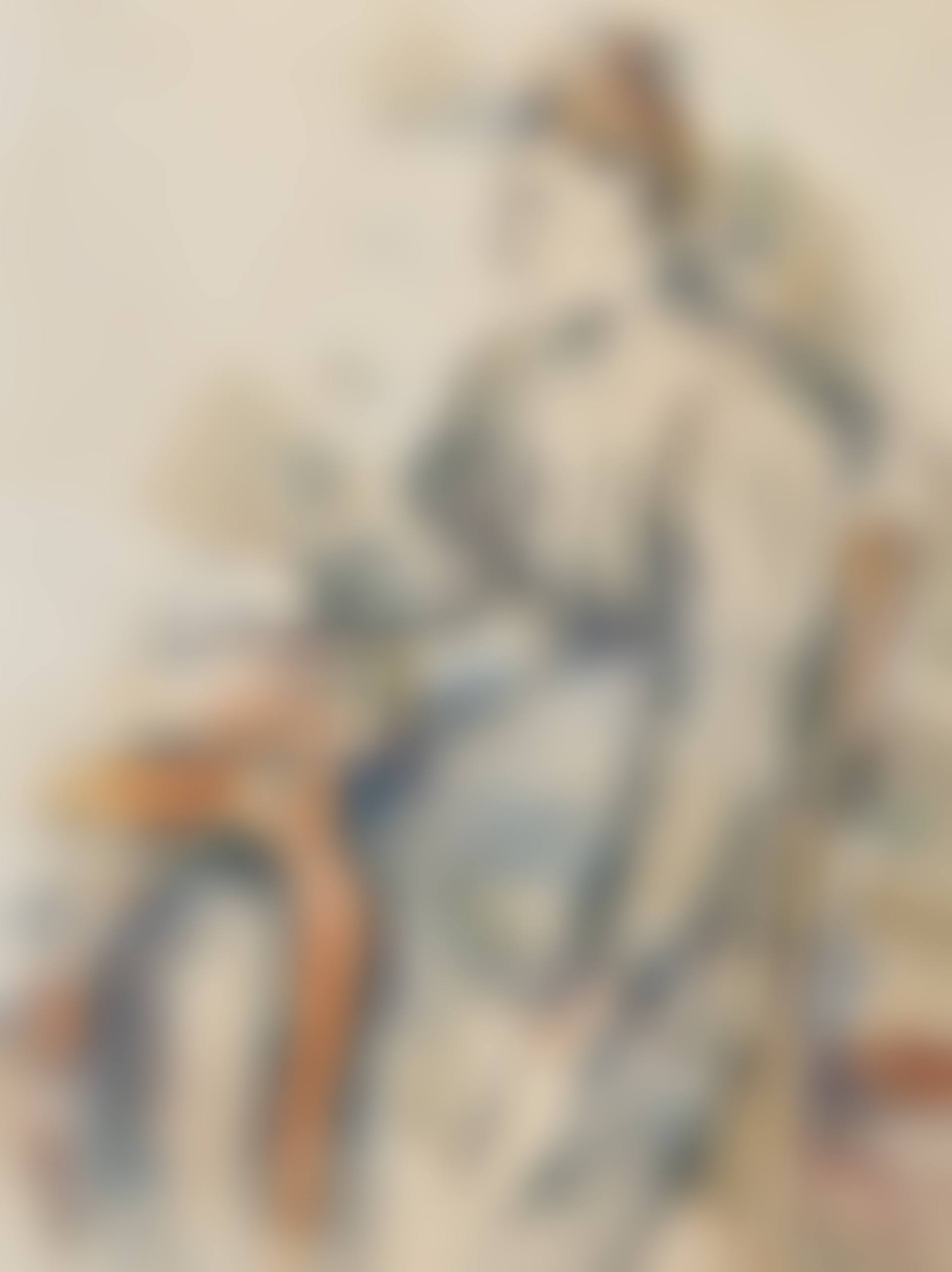 Femme assise (Madame Cezanne) (preview)
