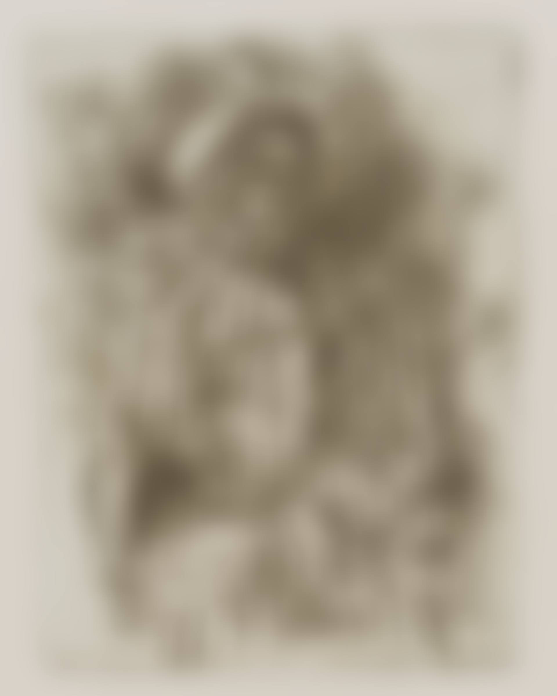 Pierrot, from Le Phanérogame (preview)