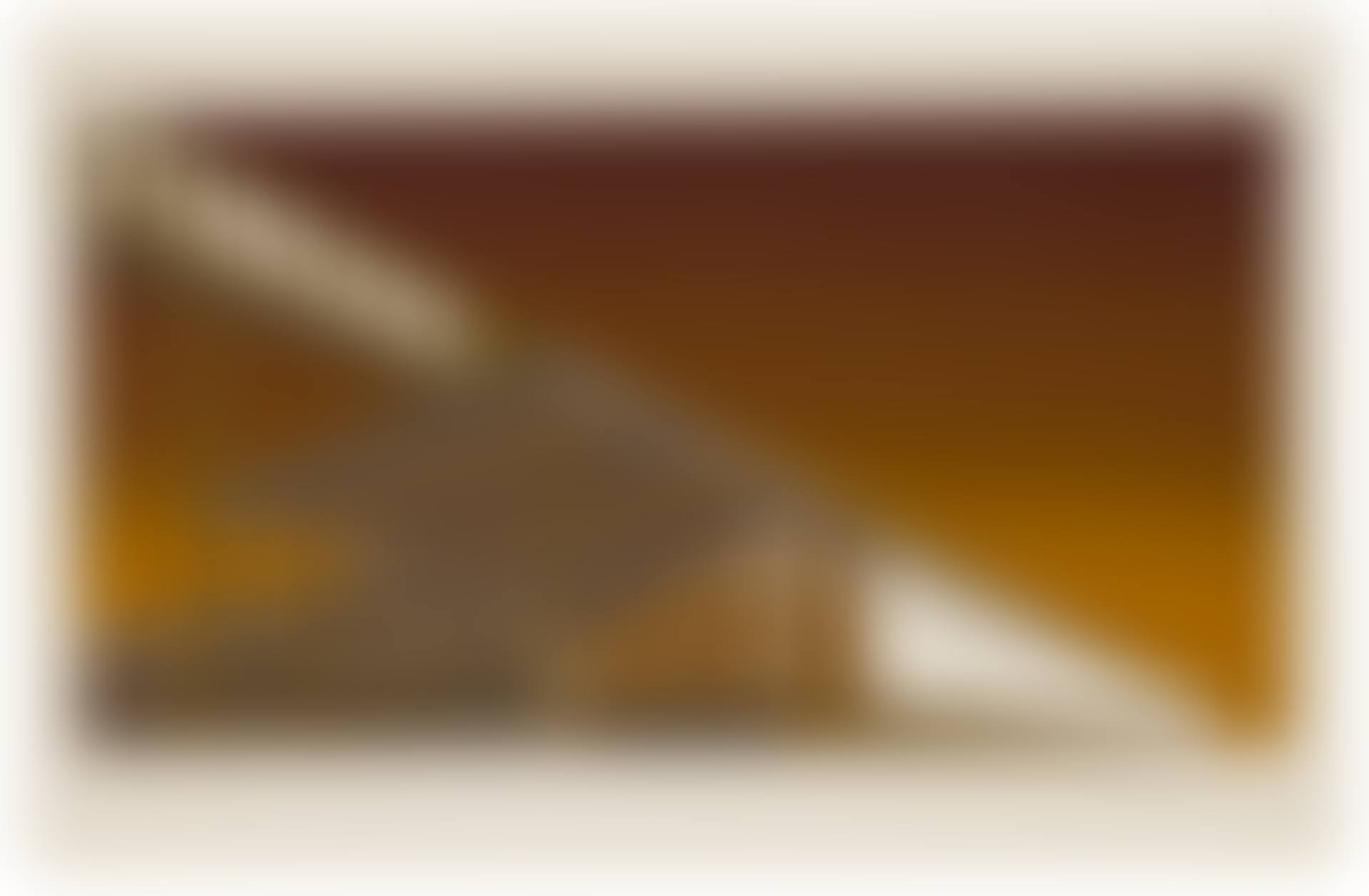 Mocha Standard (preview)