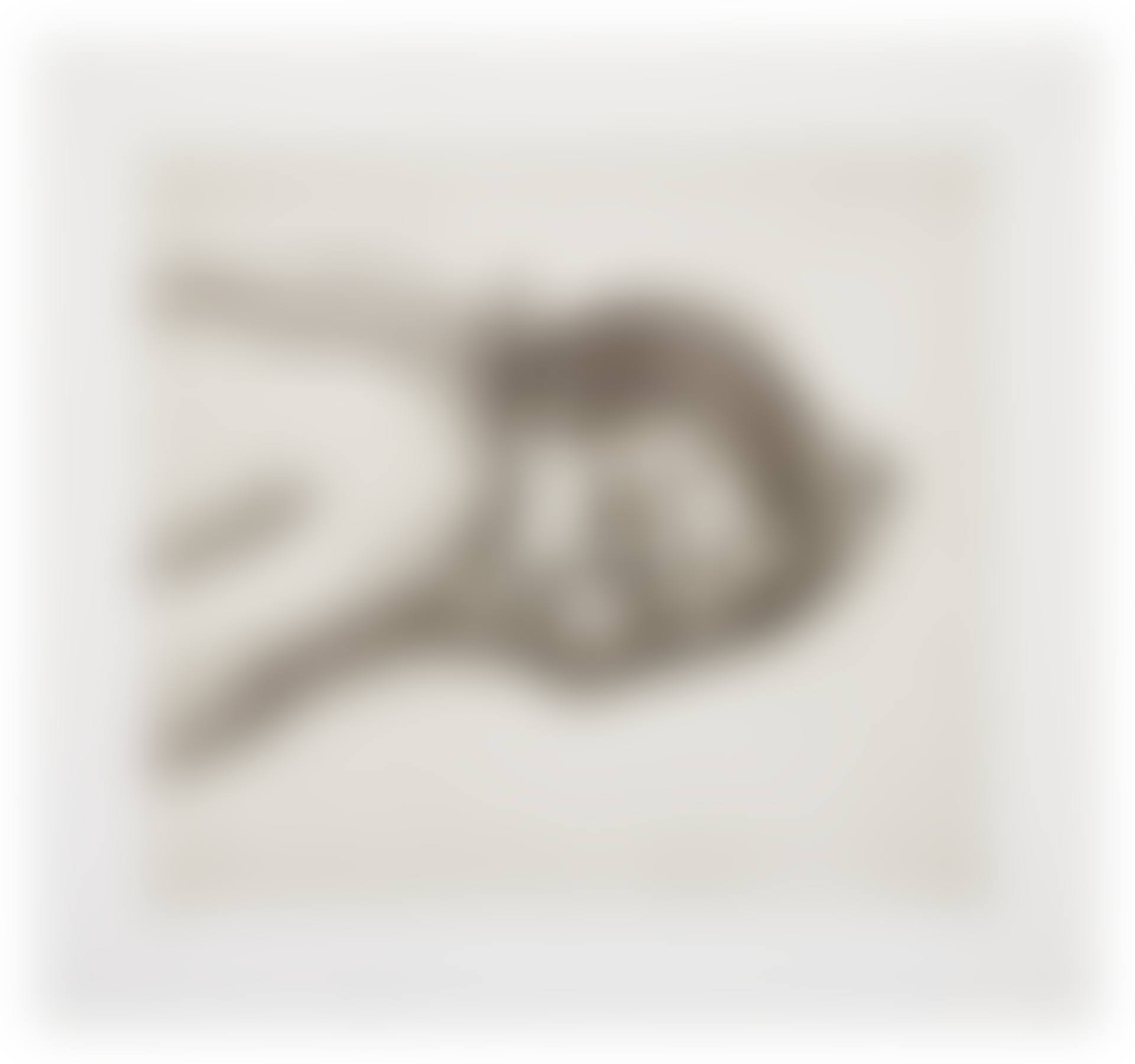 Man Resting (Hartley 34II; Figura 50) (preview)
