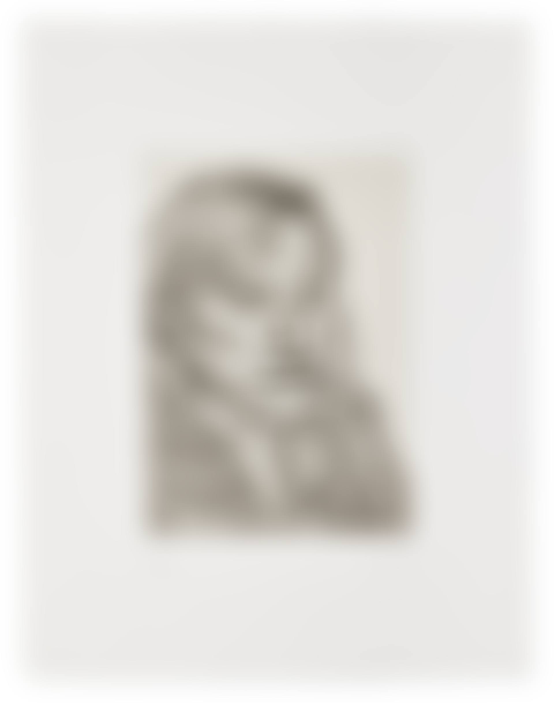 Head of Ib (Hartley 35; Figura 54) (preview)