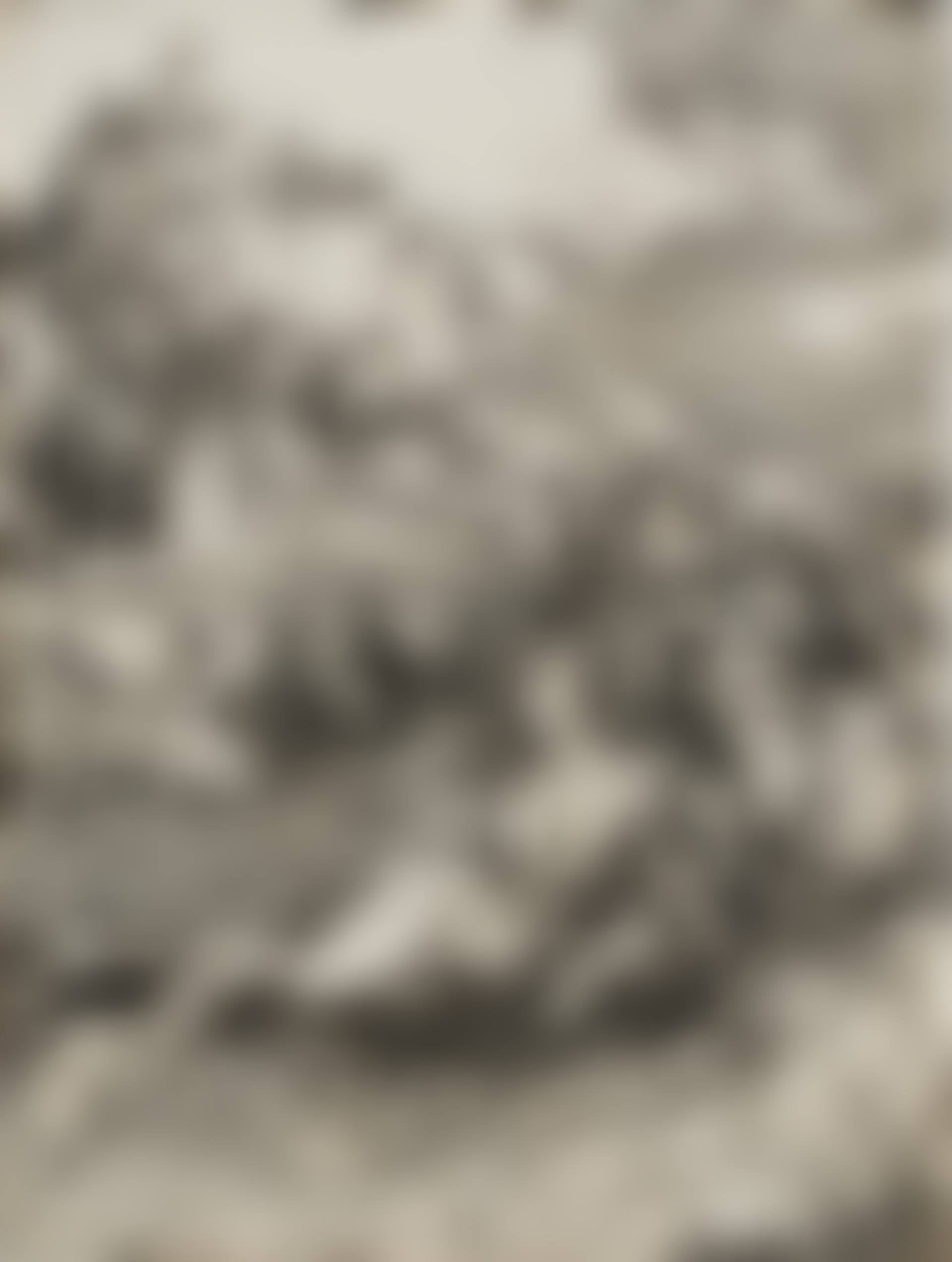 The Sea Monster (Bartsch 71; Meder, Hollstein 66; Schoch Mende Scherbaum 21) (preview)