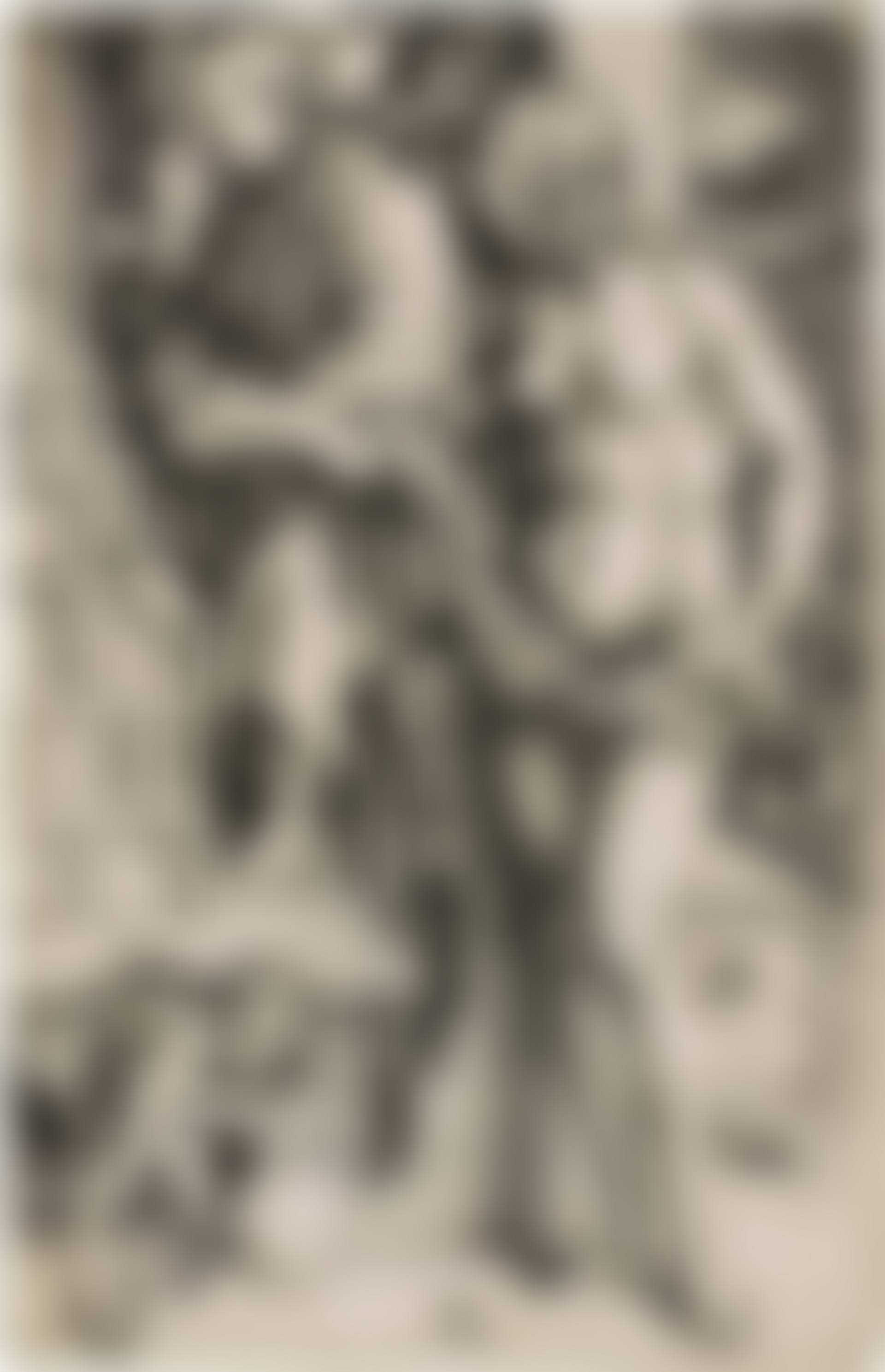 The Dream of the Doctor (Bartsch 76; Meder, Hollstein 70; Schoch Mende Scherbaum 18) (preview)