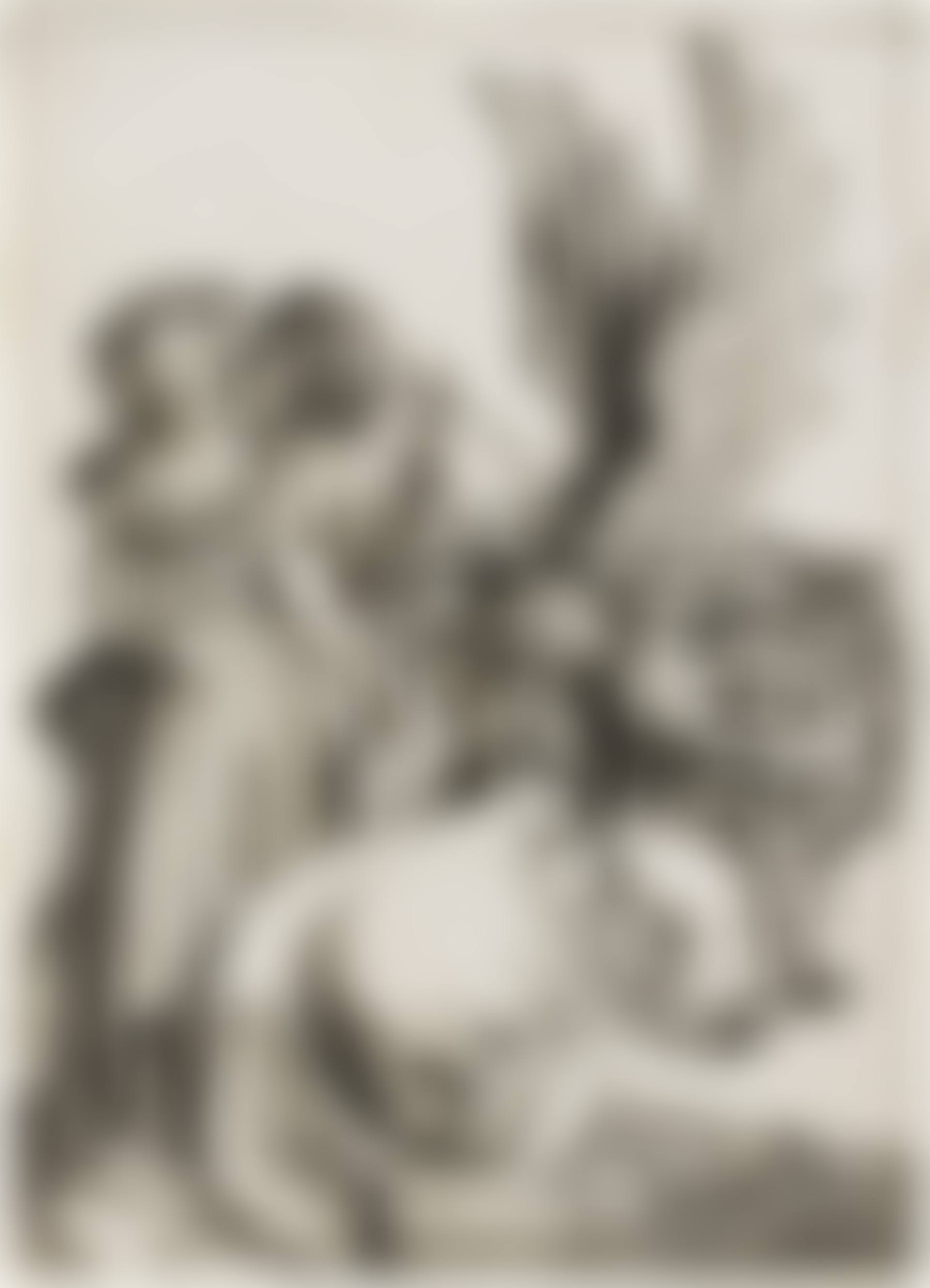 Coat of Arms with a Skull (Bartsch 101; Meder, Hollstein 98; Schoch, Mende, Scherbaum 37) (preview)
