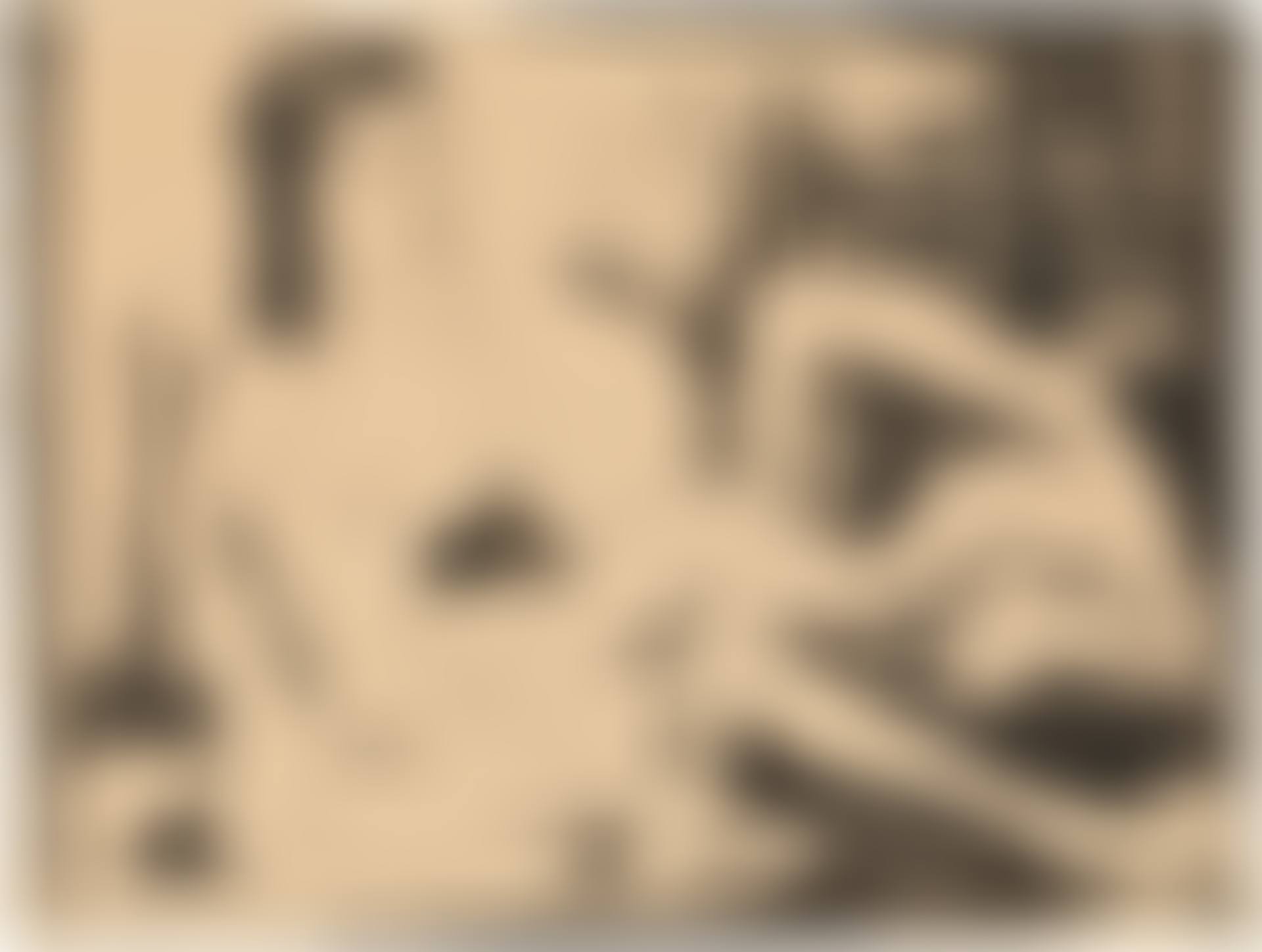 La Dormeuse (Bloch 435; Mourlot 81) (preview)