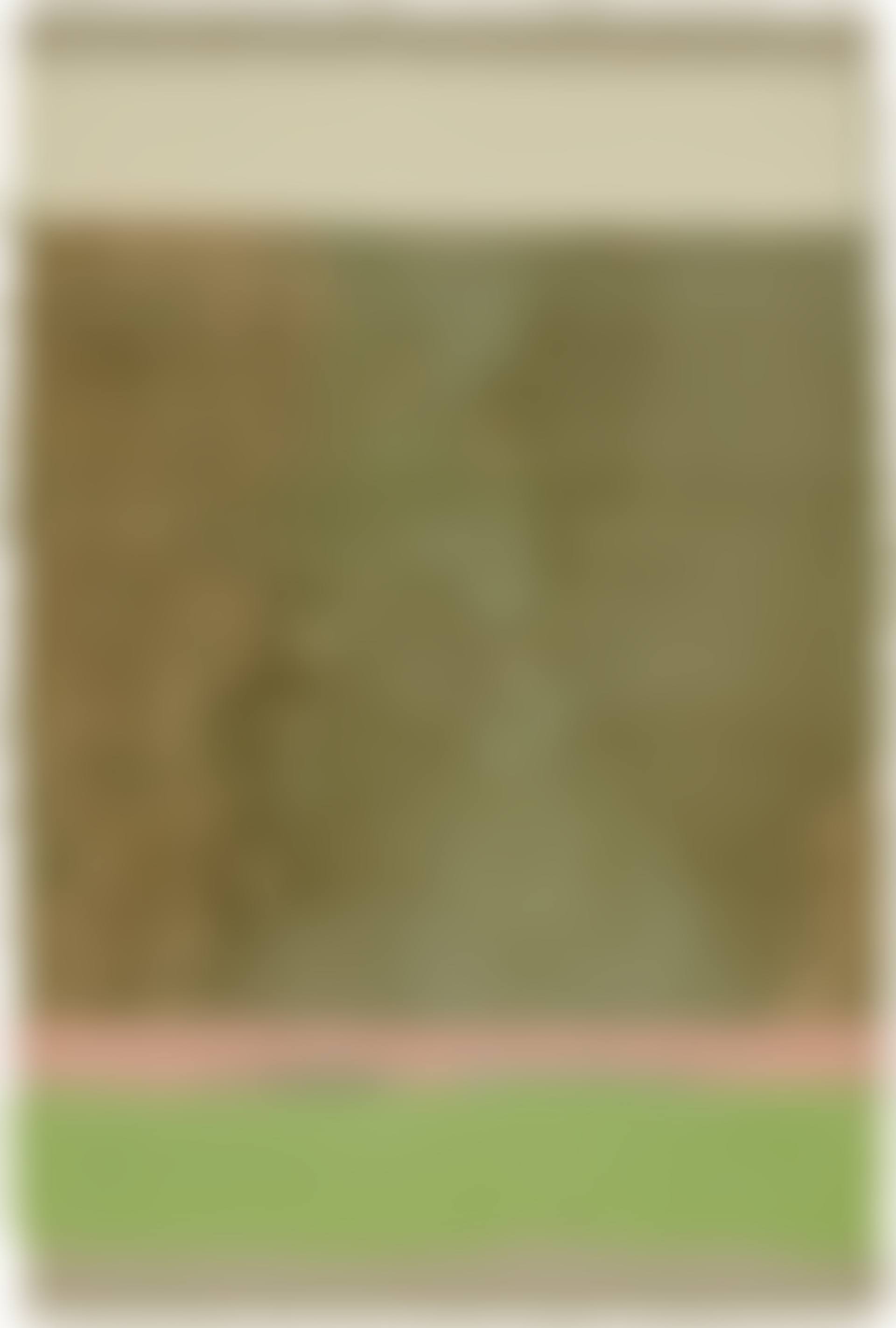 Horizontal Stripes Series (IV-2), from Handmade Paper Projects (see Tyler 469) (preview)