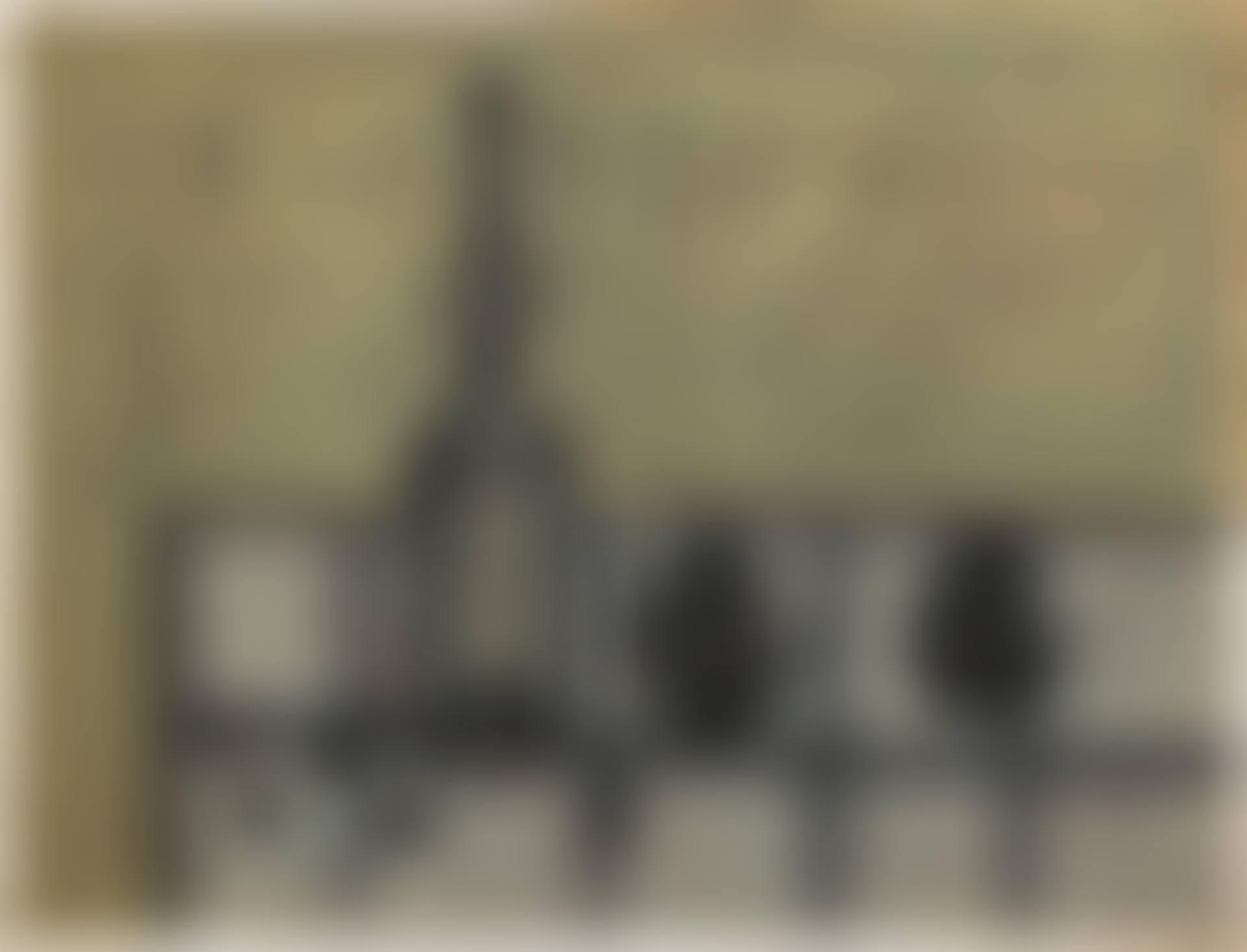 Deux artichauts (preview)