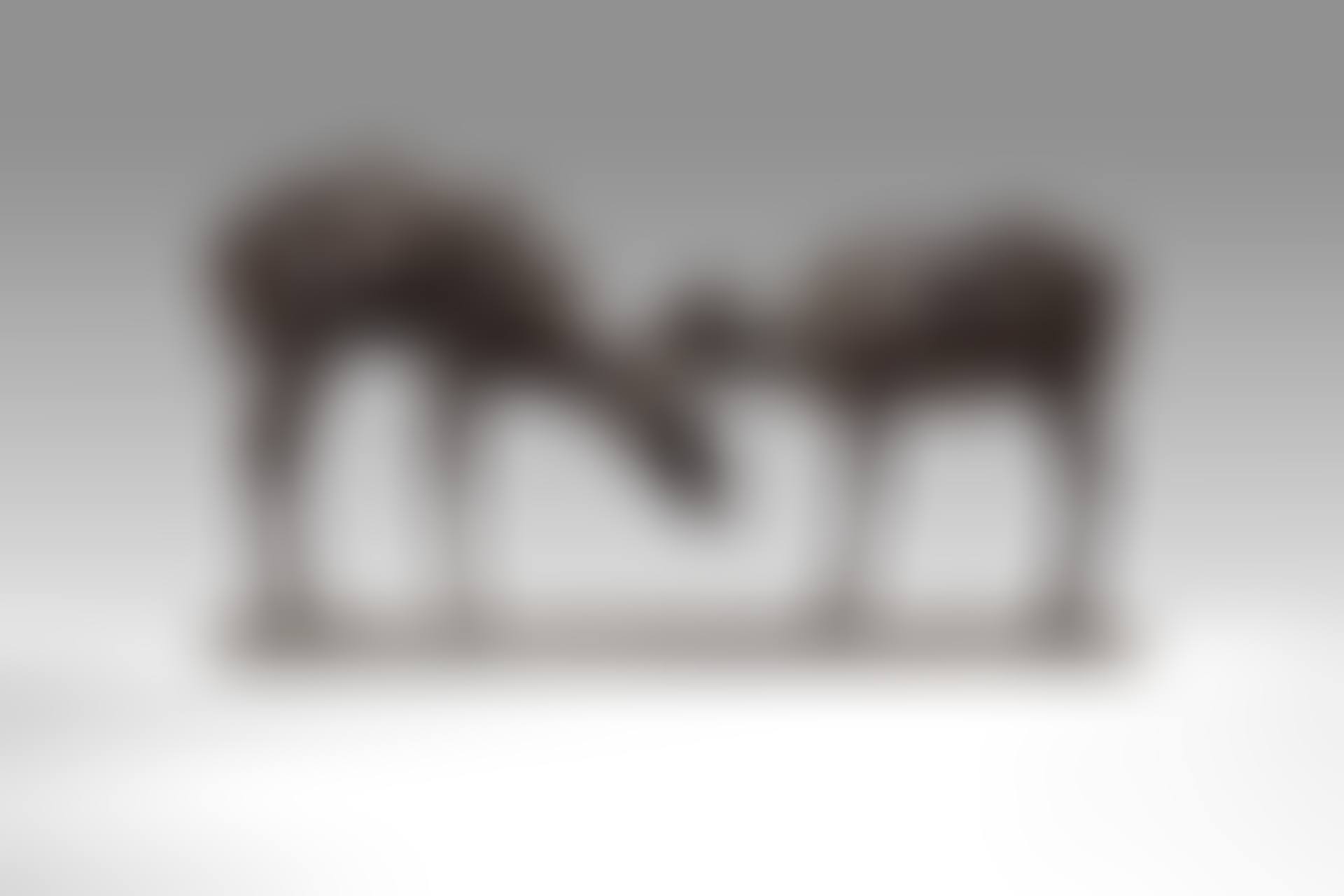 Petites Antilopes goudou ou Koudou "deux amis" (preview)