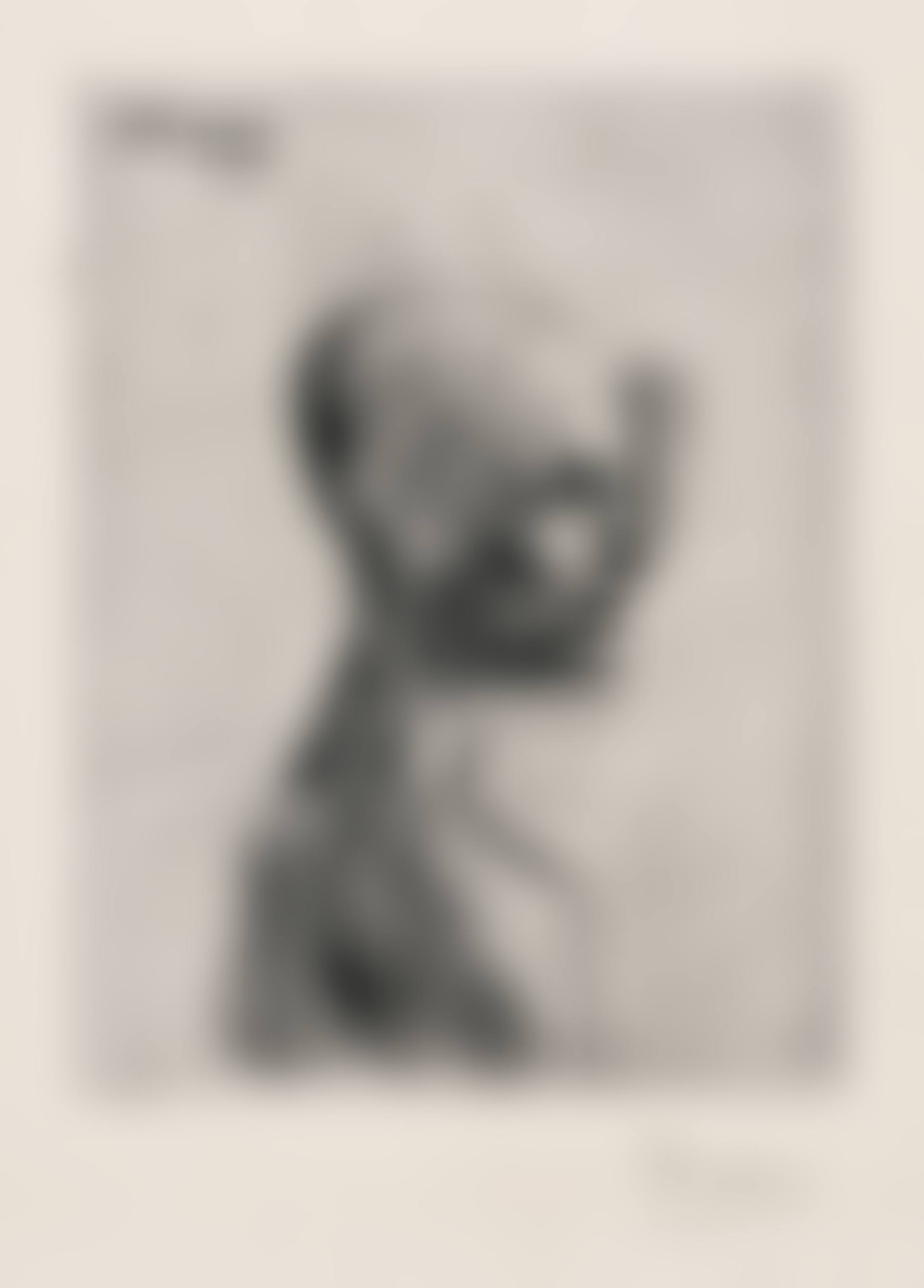 Buste d"homme (Bust of a Man), plate 4 from La Suite des Saltimbanques (Bl. 4, Ba. 5) (preview)