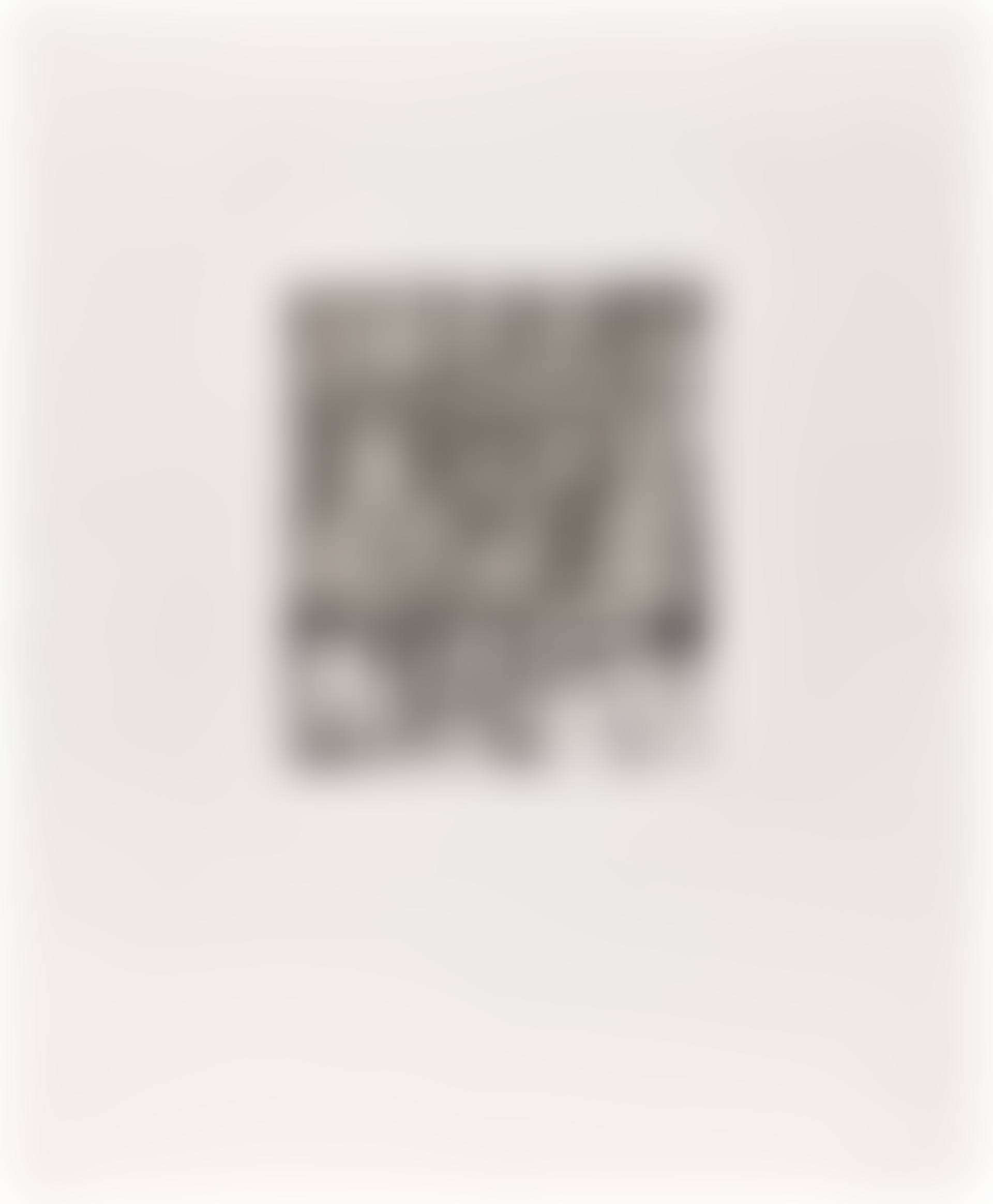 Etchings to Rexroth: plate #25 (L. 40/25) (preview)