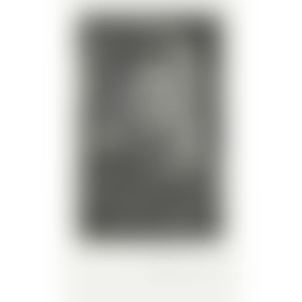 Portrait de gentilhomme. 13 mars (preview)