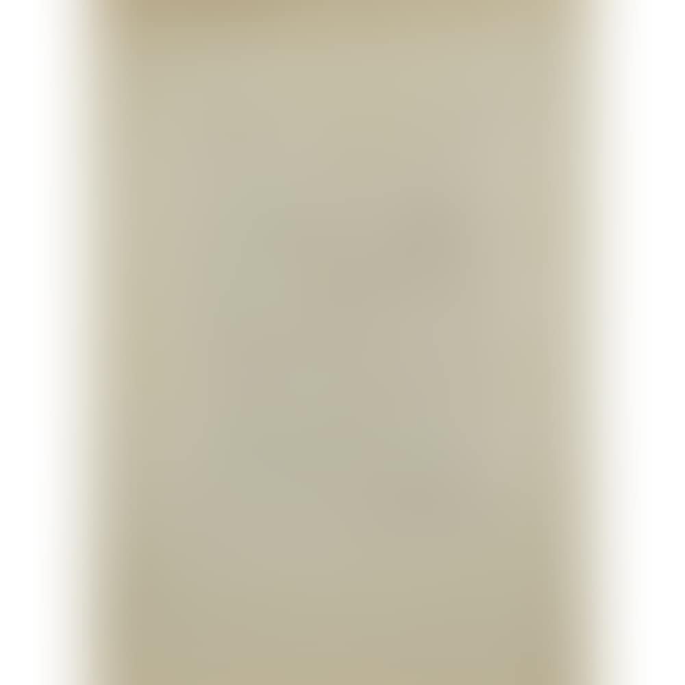 Récits de Nestor sur la guerre de Troie, illustration pour le Livre XII des Métamorphoses d"Ovide (preview)