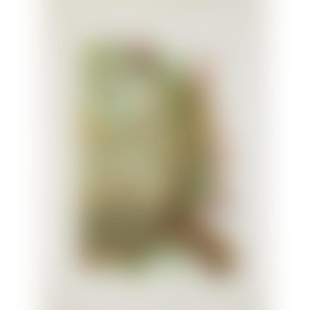 Ananas (preview)
