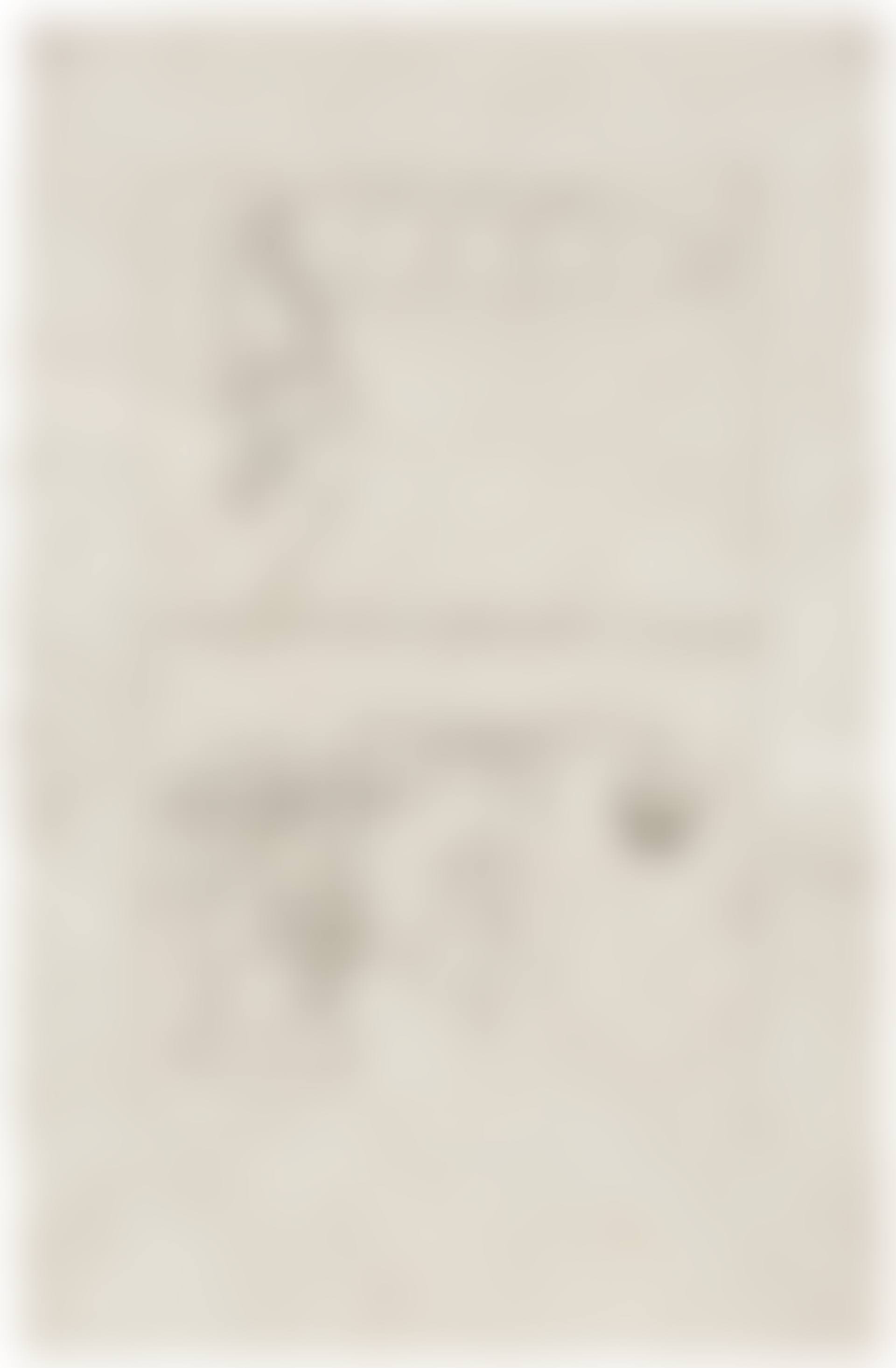 The Large Glass (1915-23), from The Large Glass and Related Works, vol. I (S. 630a) (preview)