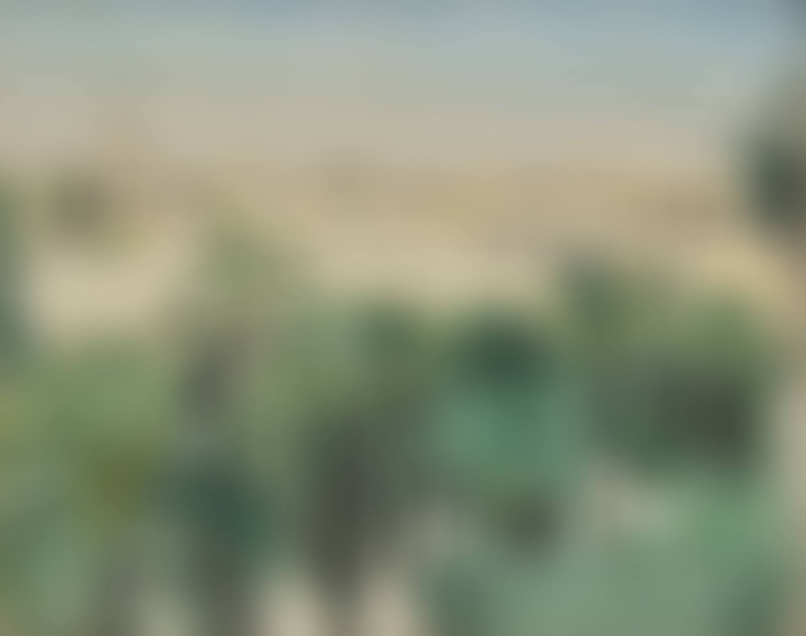 Vue de Laghouat à Travers la Palmeraie (Algérie) (preview)