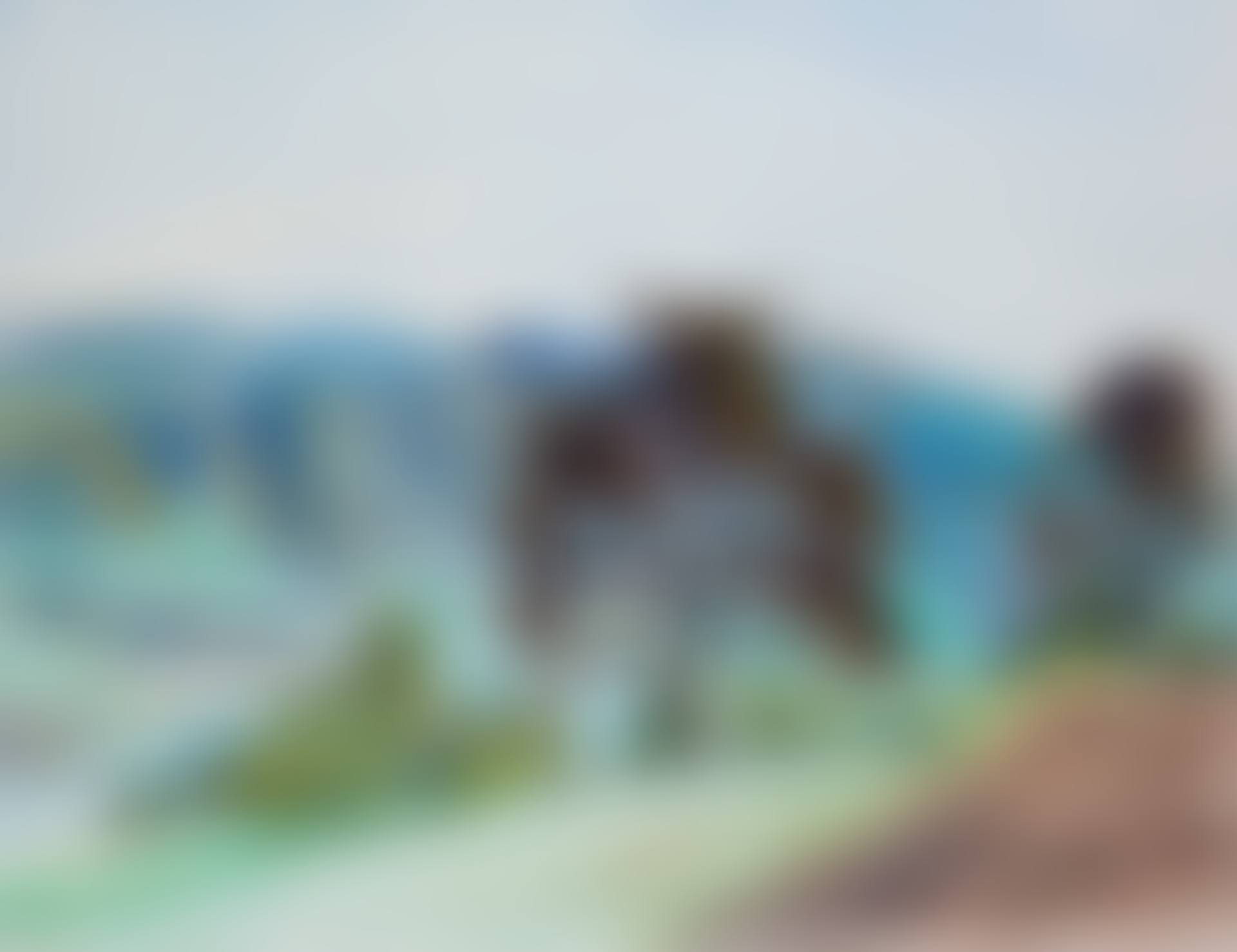 Am Untersee (preview)